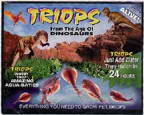 Triops kit